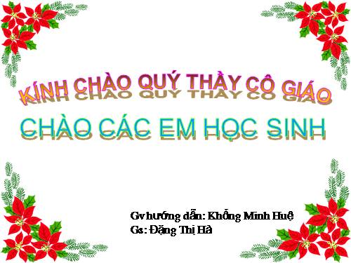 Bài 48. Đa dạng của lớp Thú: Bộ Thú huyệt, bộ Thú túi