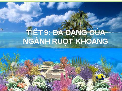 Bài 9. Đa dạng của ngành Ruột khoang