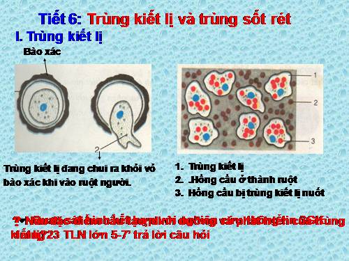 Bài 6. Trùng kiết lị và trùng sốt rét