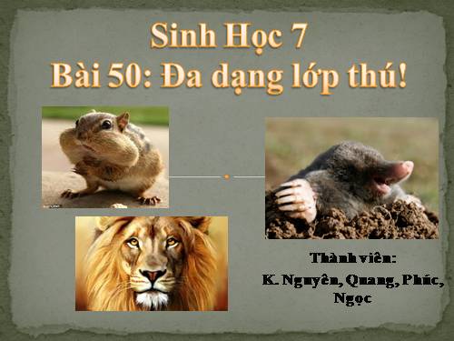 Bài 50. Đa dạng của lớp Thú: Bộ Ăn sâu bọ, bộ Gặm nhấm, bộ Ăn thịt