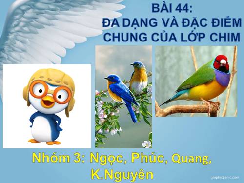 Bài 44. Đa dạng và đặc điểm chung của lớp Chim