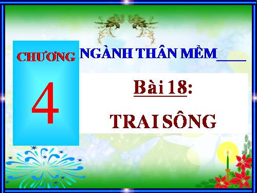 Bài 18. Trai sông