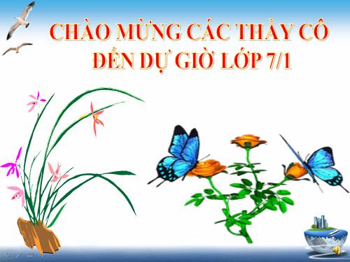 Bài 55. Tiến hoá về sinh sản