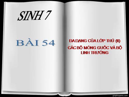 Bài 51. Đa dạng của lớp Thú: Các bộ Móng guốc và bộ Linh trưởng