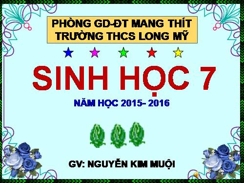 Bài 44. Đa dạng và đặc điểm chung của lớp Chim