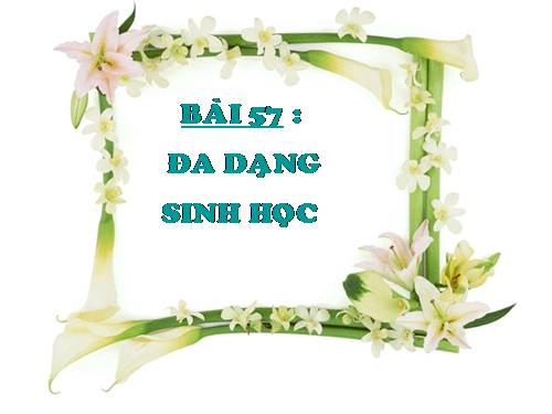 Bài 57. Đa dạng sinh học