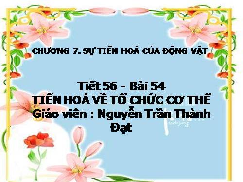 Bài 54. Tiến hoá về tổ chức cơ thể