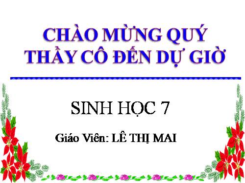 Bài 54. Tiến hoá về tổ chức cơ thể