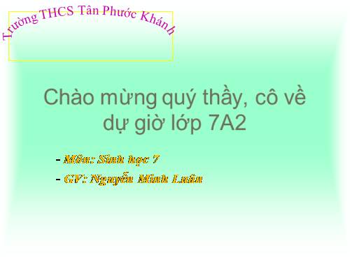 Bài 46. Thỏ