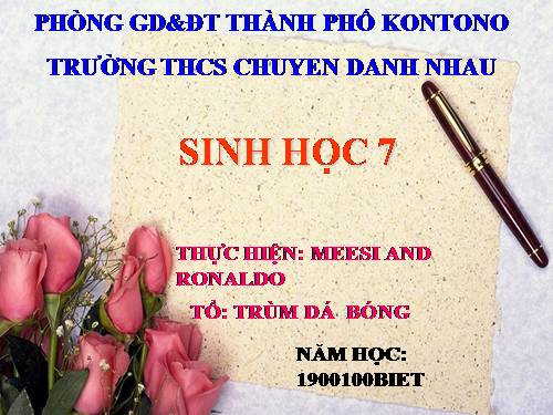 Bài 51. Đa dạng của lớp Thú: Các bộ Móng guốc và bộ Linh trưởng