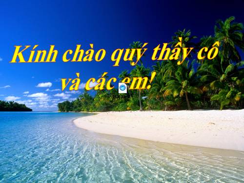 Bài 51. Đa dạng của lớp Thú: Các bộ Móng guốc và bộ Linh trưởng