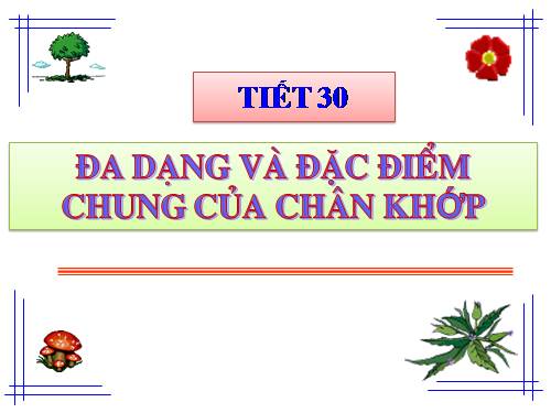 Bài 29. Đặc điểm chung và vai trò của ngành Chân khớp