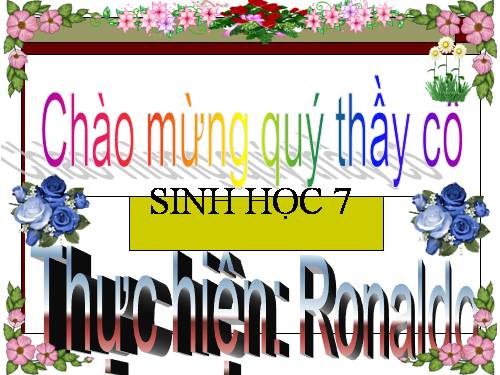 Bài 50. Đa dạng của lớp Thú: Bộ Ăn sâu bọ, bộ Gặm nhấm, bộ Ăn thịt