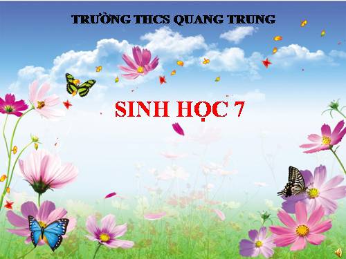 Bài 51. Đa dạng của lớp Thú: Các bộ Móng guốc và bộ Linh trưởng