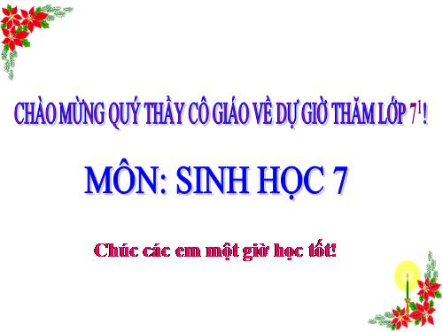 Bài 51. Đa dạng của lớp Thú: Các bộ Móng guốc và bộ Linh trưởng