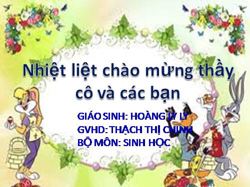 Bài 49. Đa dạng của lớp Thú: Bộ Dơi và bộ Cá voi