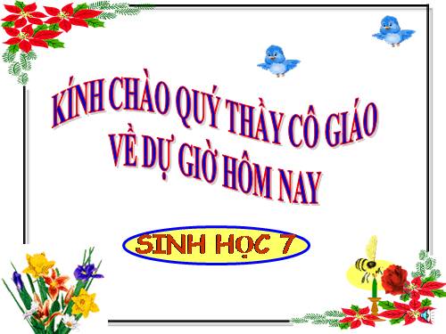 Bài 46. Thỏ