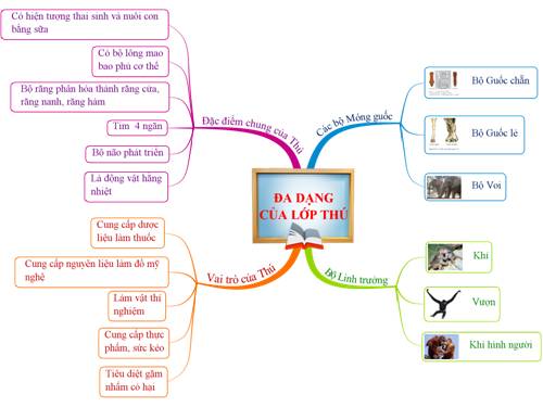 Bài 51. Đa dạng của lớp Thú: Các bộ Móng guốc và bộ Linh trưởng