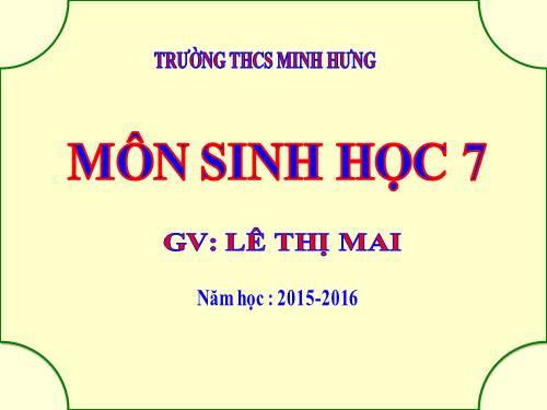 Bài 48. Đa dạng của lớp Thú: Bộ Thú huyệt, bộ Thú túi