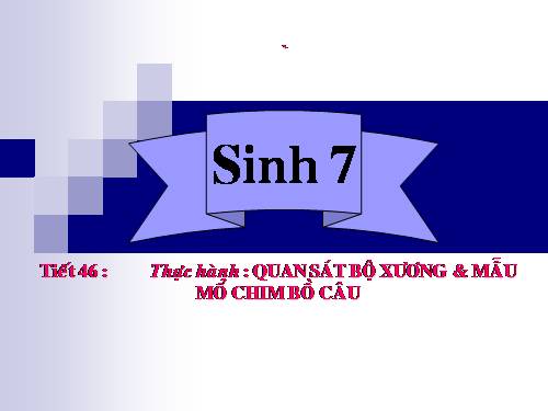 Bài 42. Thực hành: Quan sát bộ xương, mẫu mổ chim bồ câu