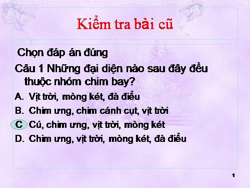 Bài 46. Thỏ