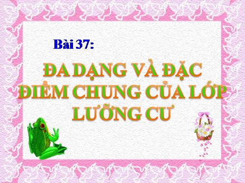 Bài 37. Đa dạng và đặc điểm chung của lớp Lưỡng cư