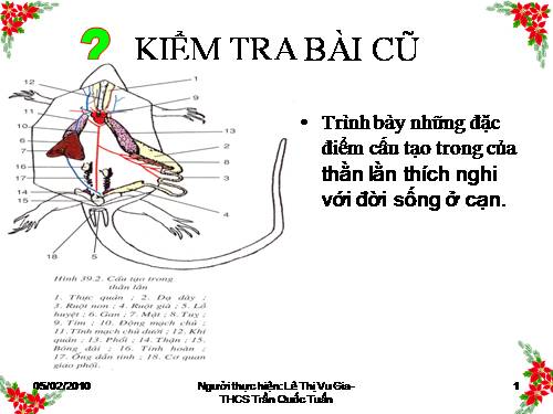 Bài 40. Đa dạng và đặc điểm chung của lớp Bò sát