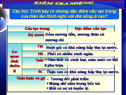 Bài 40. Đa dạng và đặc điểm chung của lớp Bò sát