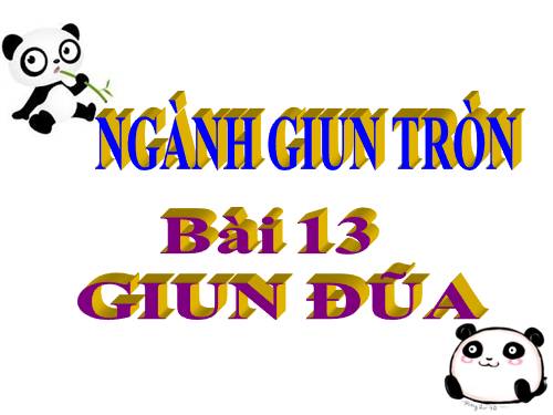 Bài 13. Giun đũa