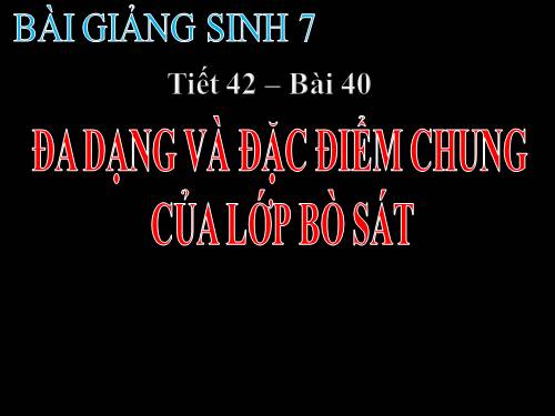 Bài 40. Đa dạng và đặc điểm chung của lớp Bò sát