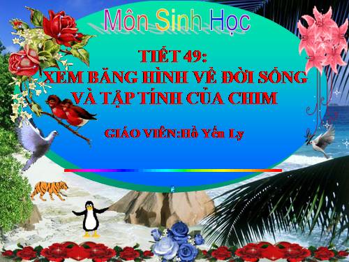 Bài 45. Thực hành: Xem băng hình về đời sống và tập tính của chim