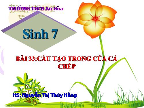 Bài 33. Cấu tạo trong của cá chép