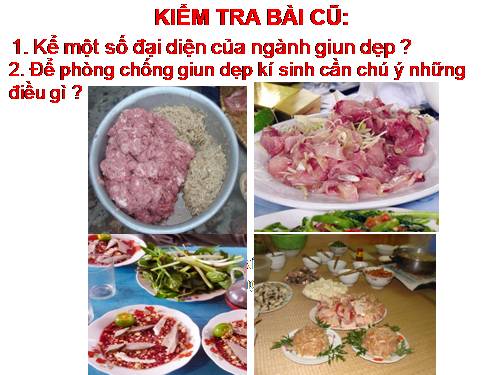 Bài 13. Giun đũa