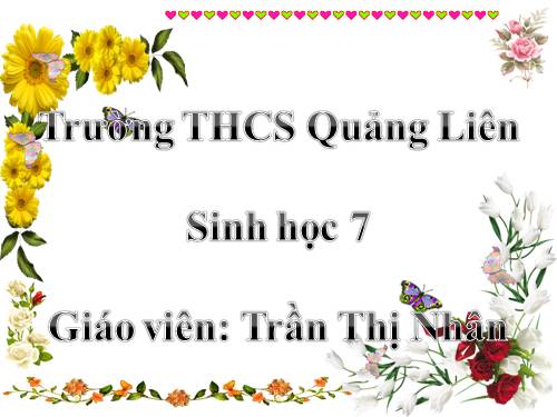 Bài 33. Cấu tạo trong của cá chép