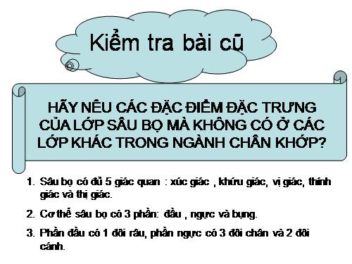 Bài 29. Đặc điểm chung và vai trò của ngành Chân khớp