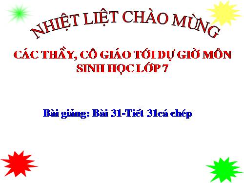 Bài 31. Cá chép