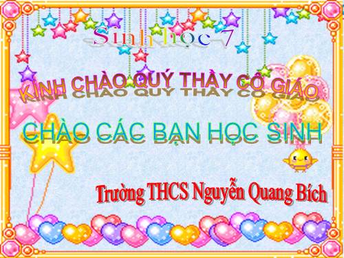 Bài 29. Đặc điểm chung và vai trò của ngành Chân khớp