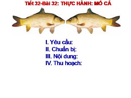 Bài 32. Thực hành: Mổ cá