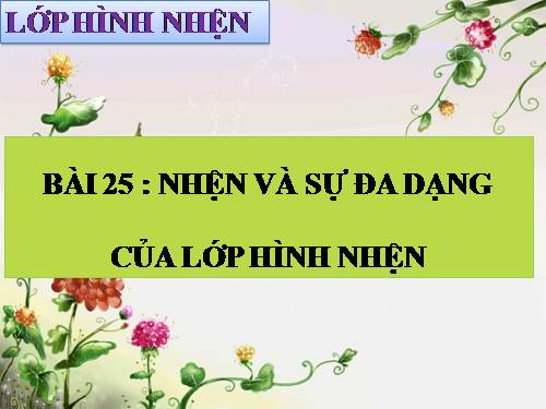 Bài 25. Nhện và sự đa dạng của lớp Hình nhện