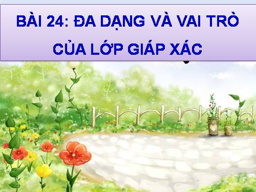 Bài 24. Đa dạng và vai trò của lớp Giáp xác