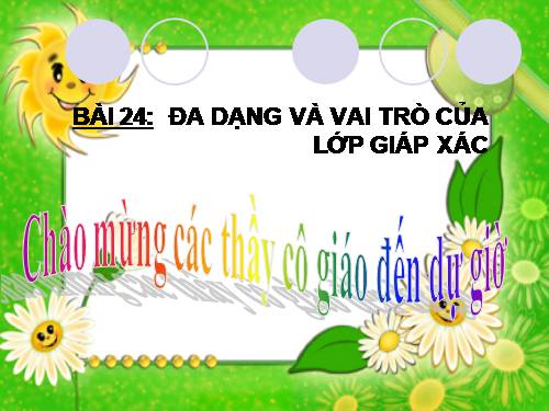 Bài 24. Đa dạng và vai trò của lớp Giáp xác