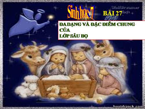 Bài 27. Đa dạng và đặc điểm chung của lớp Sâu bọ