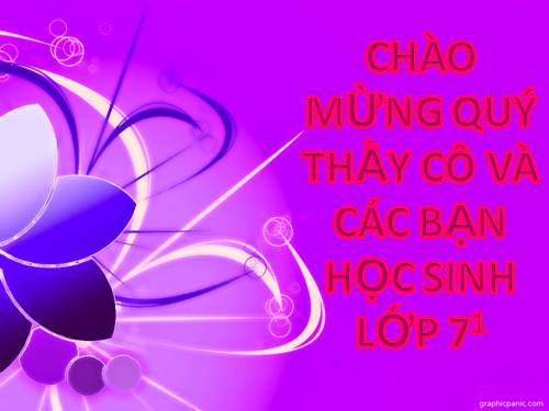 Bài 28. Thực hành: Xem băng hình về tập tính của sâu bọ