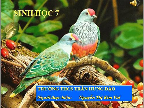 Bài 27. Đa dạng và đặc điểm chung của lớp Sâu bọ