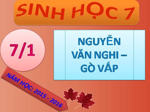 Bài 29. Đặc điểm chung và vai trò của ngành Chân khớp