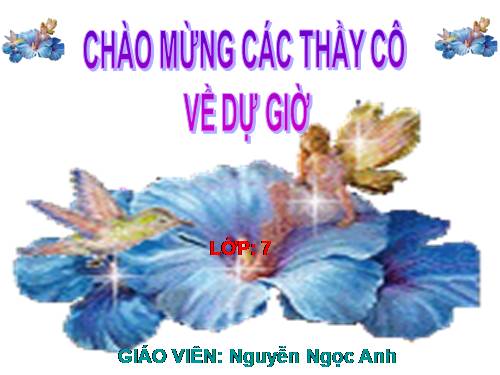 Bài 25. Nhện và sự đa dạng của lớp Hình nhện