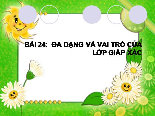 Bài 24. Đa dạng và vai trò của lớp Giáp xác