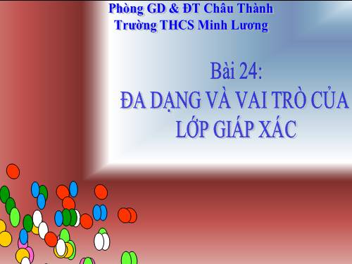 Bài 24. Đa dạng và vai trò của lớp Giáp xác