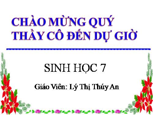 Bài 54. Tiến hoá về tổ chức cơ thể