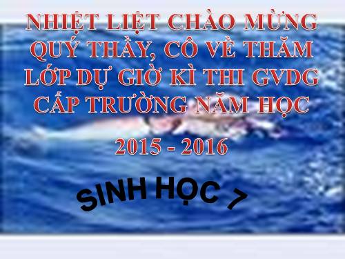 Bài 21. Đặc điểm chung và vai trò của ngành Thân mềm